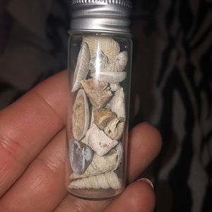 South Florida Shells in a glass vile